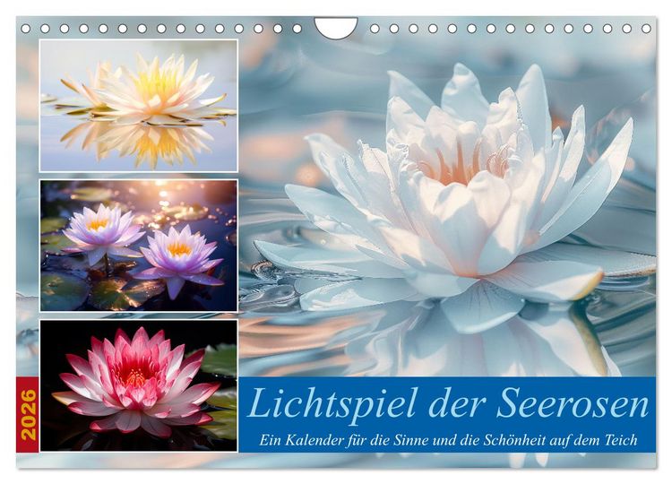 Produktbild: Lichtspiel der Seerosen (Wandkalender 2026 DIN A4 quer), CALVENDO Monatskalender