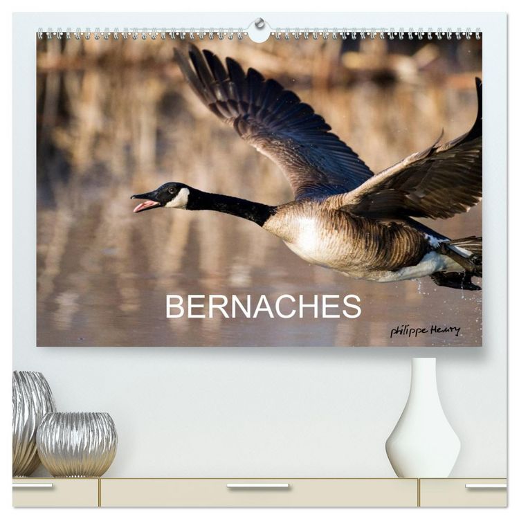 Produktbild: BERNACHES (Calendrier mural 2026 DIN A2 vertical) calendrier de bureau