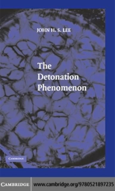 Produktbild: Detonation Phenomenon