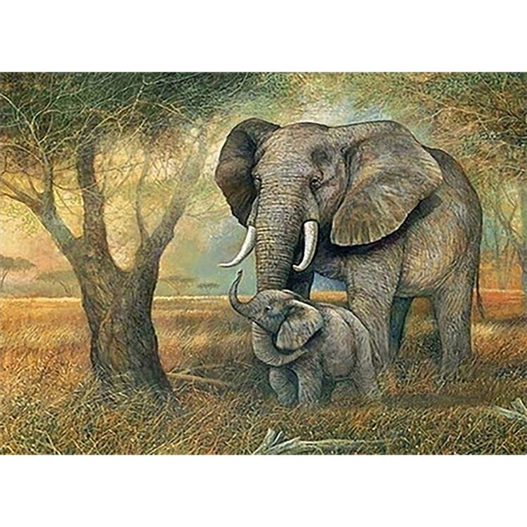 Produktbild: PRACHT Diamond Painting Elefanten 40x30cm