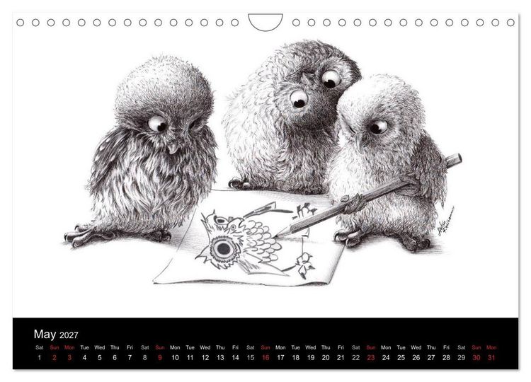 Produktbild: owls & friends 2027 (Wall Calendar 2027 DIN A4 landscape), CALVENDO 12 Month Wall Calendar