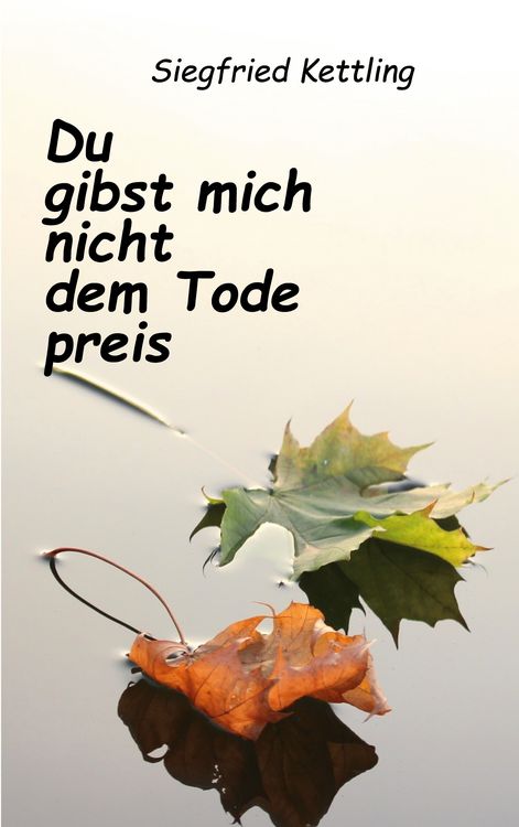 Produktbild: Du gibst mich nicht dem Tode preis
