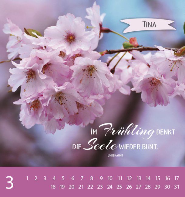 Produktbild: Namenskalender Tina