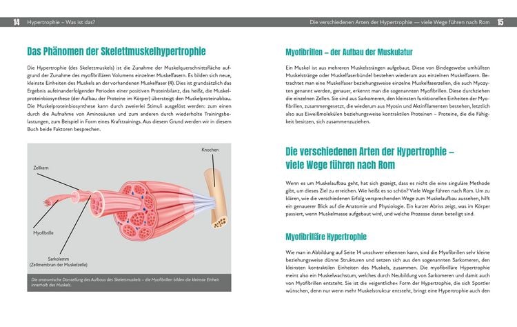 Produktbild: Hypertrophietraining