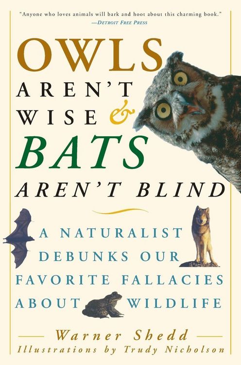 Produktbild: Owls Aren't Wise & Bats Aren't Blind
