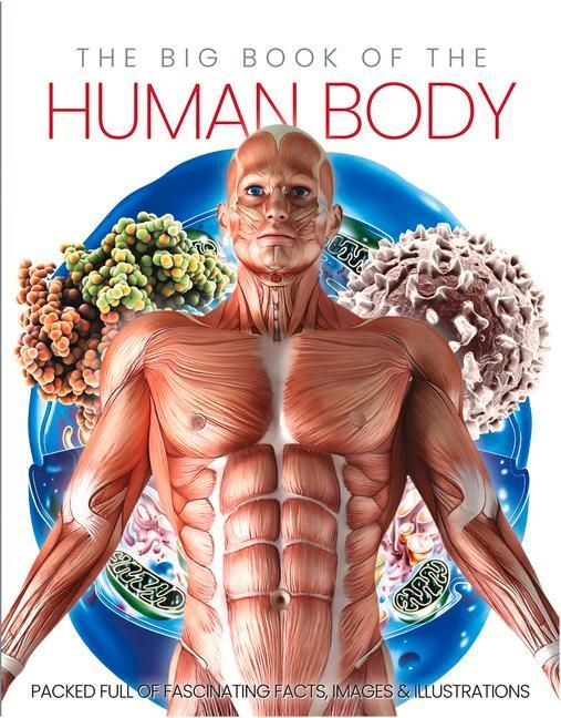 Produktbild: The Big Book of the Human body
