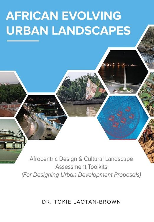 Produktbild: African Evolving Urban Landscapes