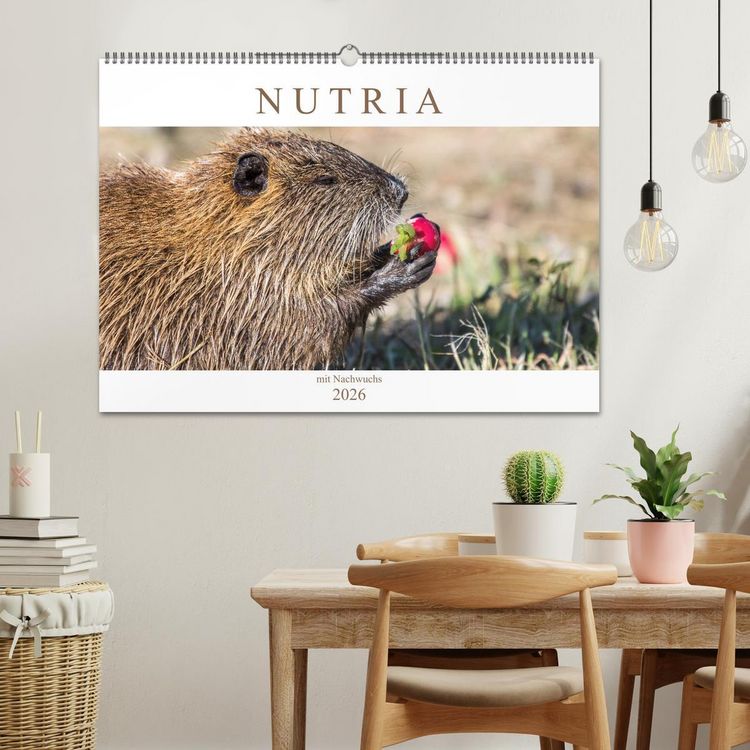 Produktbild: NUTRIA mit Nachwuchs (Wandkalender 2026 DIN A2 quer), CALVENDO Monatskalender