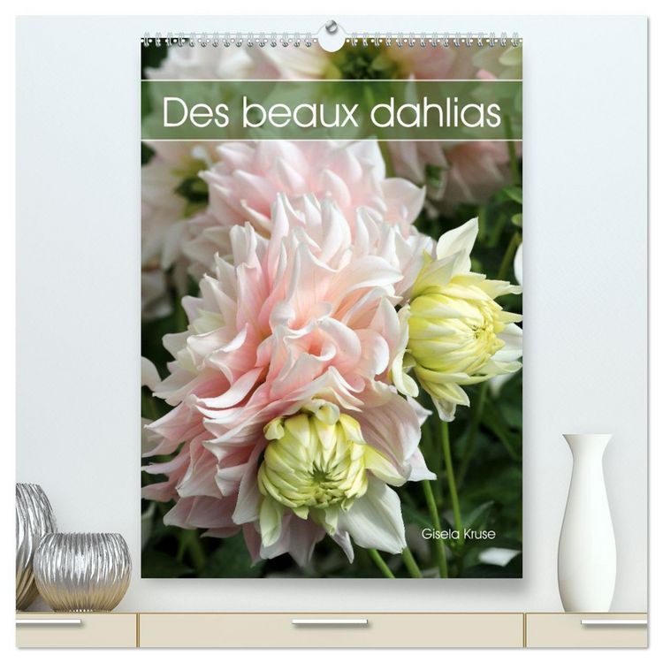 Produktbild: Des beaux dahlias (Calendrier mural 2026 DIN A2 horizontal) calendrier de bureau