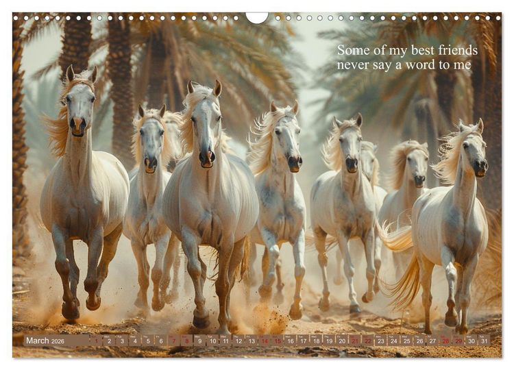 Produktbild: A Horse Makes You Complete (Wall Calendar 2026 DIN A3 landscape), CALVENDO 12 Month Wall Calendar