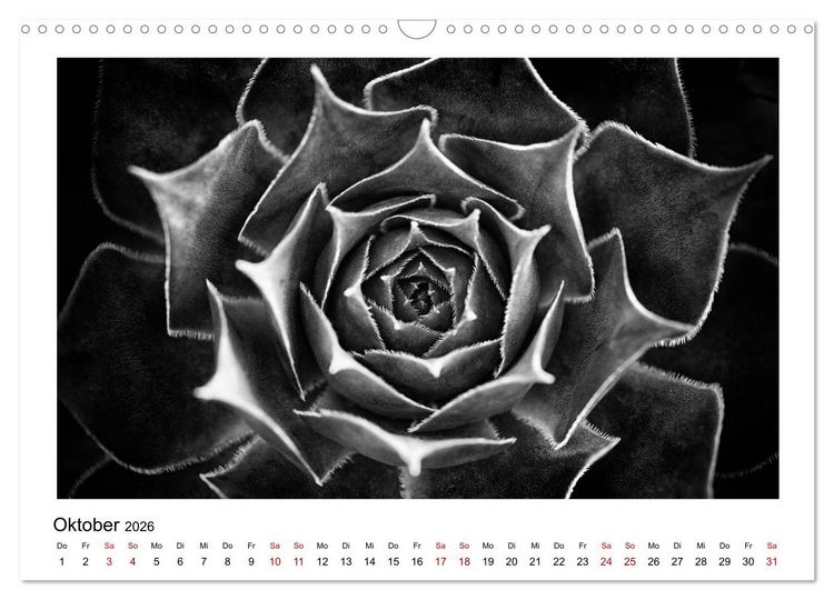 Produktbild: Die grafische Sch&ouml;nheit der Pflanzen &ndash; Schwarz-Wei&szlig; (Wandkalender 2026 DIN A3 quer), CALVENDO Monatskalender