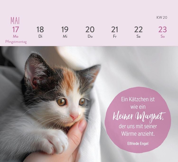Produktbild: Mini-Wochenkalender 2027: F&uuml;r Katzenfreunde