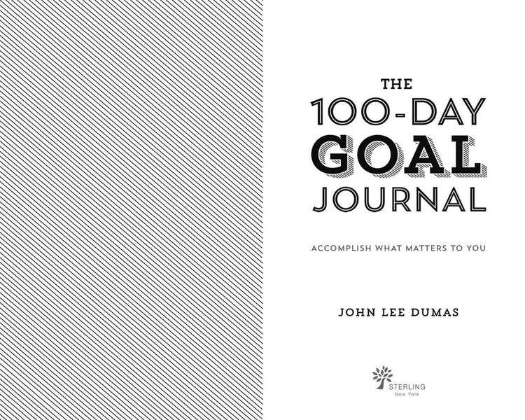 Produktbild: The 100-Day Goal Journal