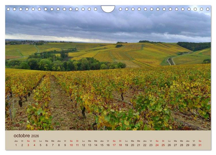 Produktbild: Paysages de l'Yonne (Calendrier mural 2026 DIN A4 vertical), CALVENDO calendrier mensuel