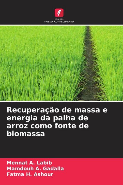 Produktbild: Recupera&ccedil;&atilde;o de massa e energia da palha de arroz como fonte de biomassa