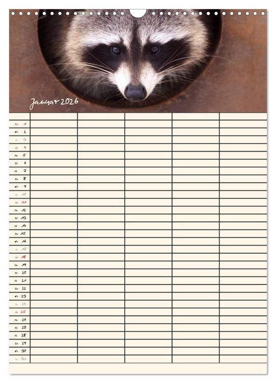 Produktbild: Waschb&auml;ren Familienplaner (Wandkalender 2026 DIN A3 hoch), CALVENDO Monatskalender