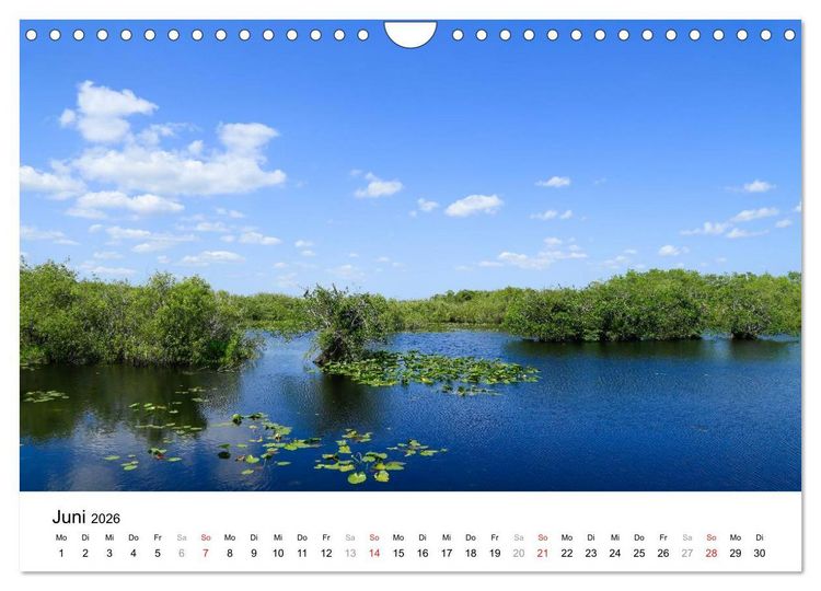 Produktbild: Unter der Sonne Floridas (Wandkalender 2026 DIN A4 quer), CALVENDO Monatskalender