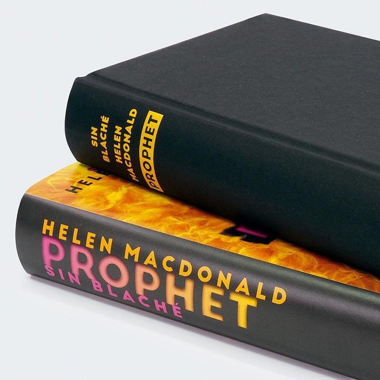 Produktbild: Prophet