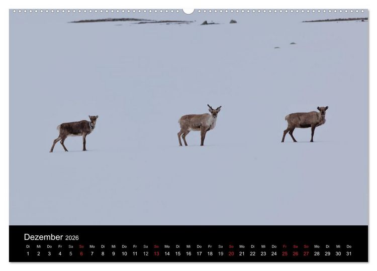 Produktbild: Tierkalender 2026 (hochwertiger Premium Wandkalender 2026 DIN A2 quer), Kunstdruck in Hochglanz