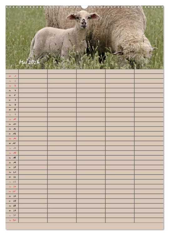Produktbild: Der bel&auml;mmerte Familienplaner (Wandkalender 2026 DIN A2 hoch), CALVENDO Monatskalender