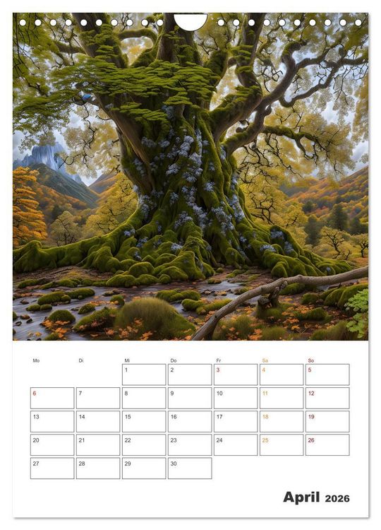 Produktbild: M&auml;rchenhafte B&auml;ume (Wandkalender 2026 DIN A4 hoch), CALVENDO Monatskalender