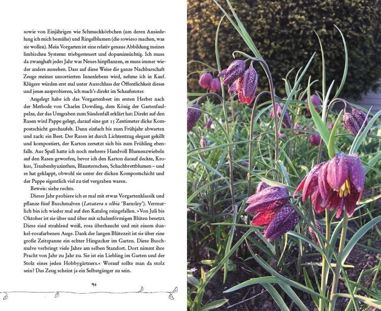 Produktbild: Bin im Garten