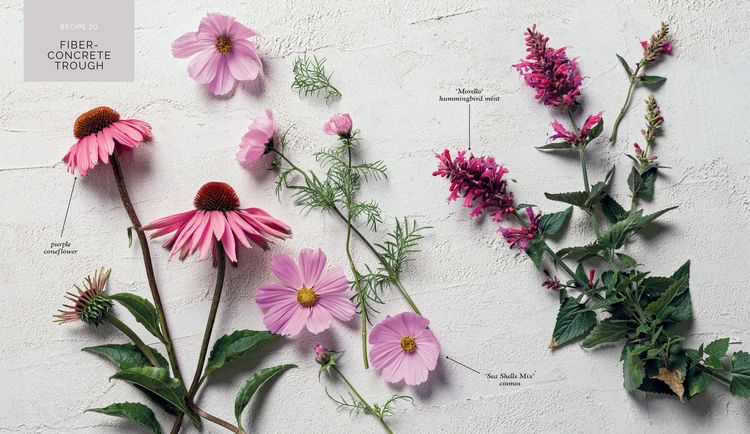 Produktbild: The Container Garden Recipe Book
