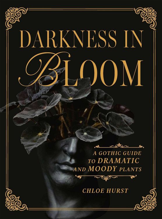 Produktbild: Darkness in Bloom