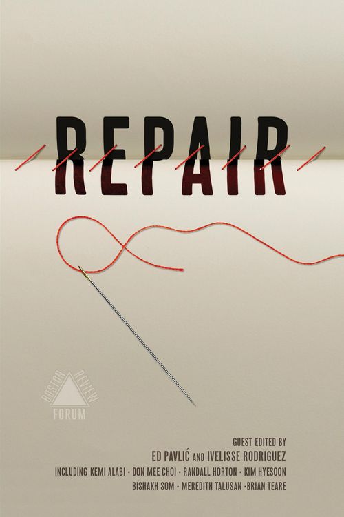 Produktbild: Repair (Boston Review)
