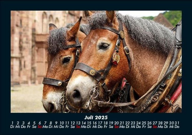 Produktbild: Pferdetraum 2025 Fotokalender DIN A5
