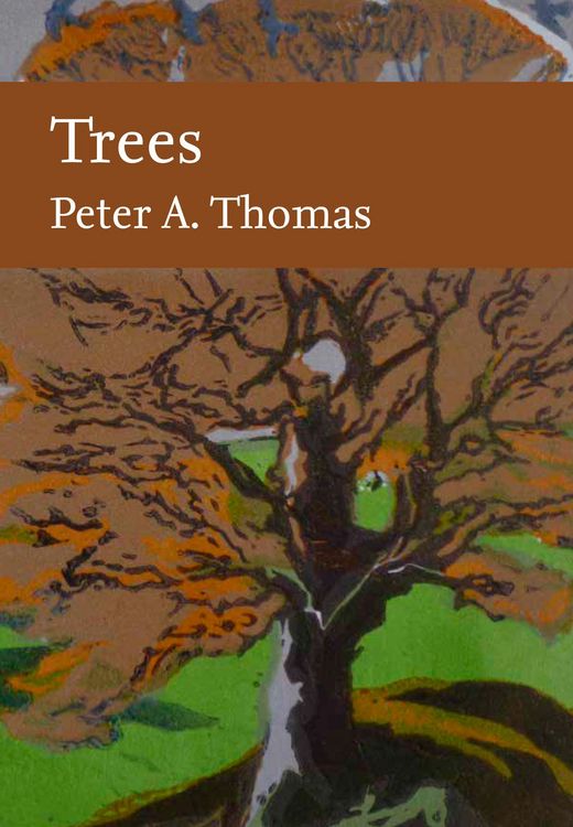 Produktbild: Trees