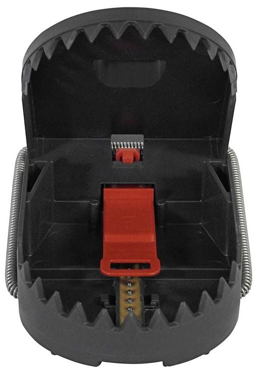 Produktbild: Swissinno SuperCat PRO Rattenfalle Funktionsart Lockstoff Erdnussbutter-K&ouml;der 1St.