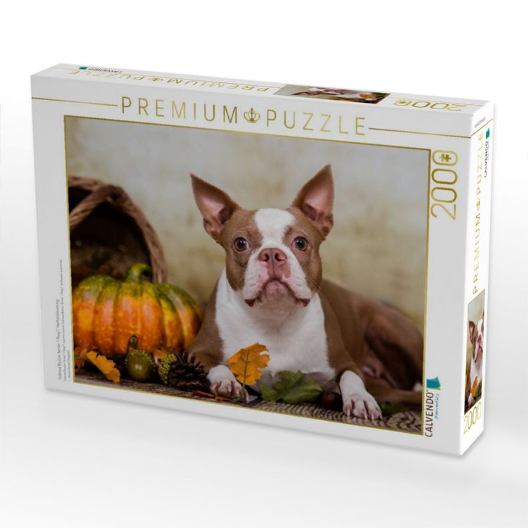 Produktbild: Colored Boston Terrier "Roxy" Herbststimmung (Puzzle)