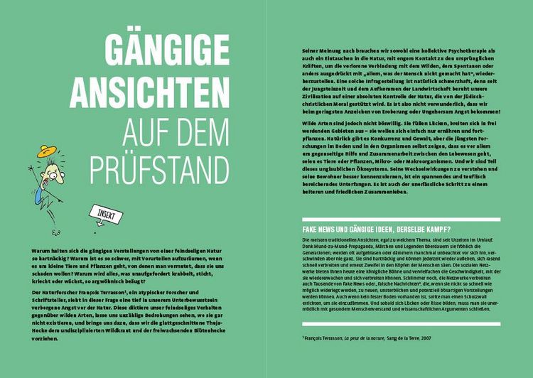 Produktbild: Efeu erw&uuml;rgt Baum