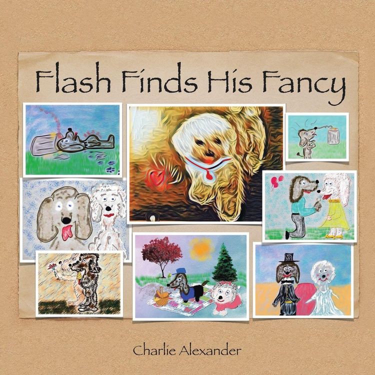 Produktbild: Flash Finds His Fancy