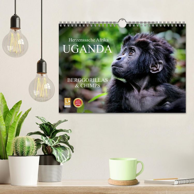 Produktbild: UGANDA - Berggorillas & Chimps (Wandkalender 2026 DIN A4 quer), CALVENDO Monatskalender