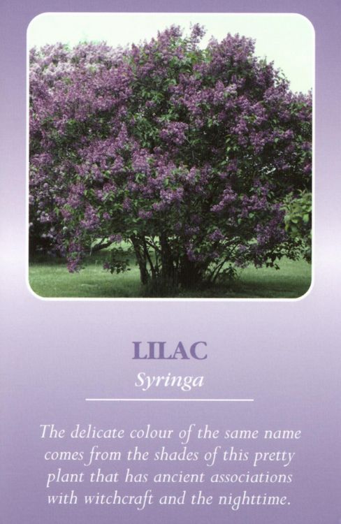Produktbild: Herbal Recognition Cards GB