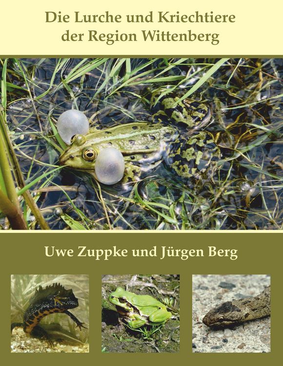 Produktbild: Die Lurche und Kriechtiere der Region Wittenberg