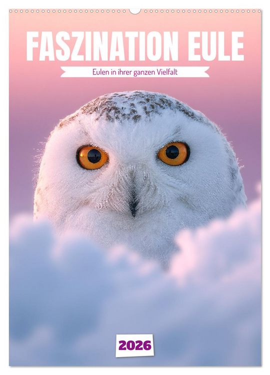 Produktbild: Faszination Eule - Eulen in ihrer ganzen Vielfalt (Wandkalender 2026 DIN A2 hoch), CALVENDO Monatskalender