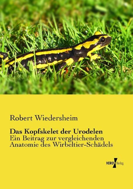 Produktbild: Das Kopfskelet der Urodelen