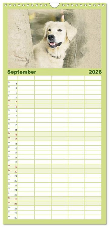 Produktbild: Familienplaner 2026 - Golden Retriever mit 5 Spalten (Wandkalender, 21 x 45 cm) CALVENDO
