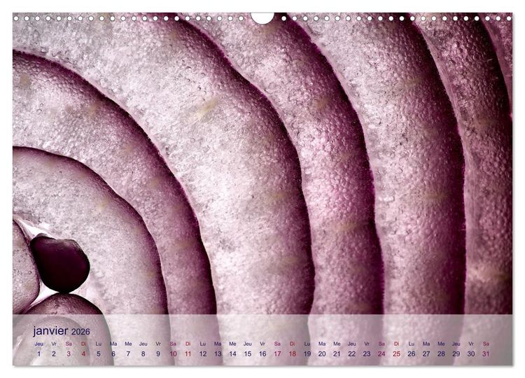 Produktbild: C&oelig;ur de fruits c&oelig;ur de l&eacute;gumes (Calendrier mural 2026 DIN A3 vertical), CALVENDO calendrier mensuel