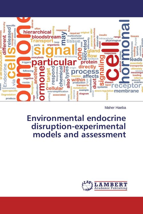 Produktbild: Environmental endocrine disruption-experimental models and assessment