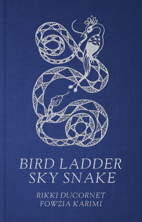 Produktbild: Bird Ladder Sky Snake