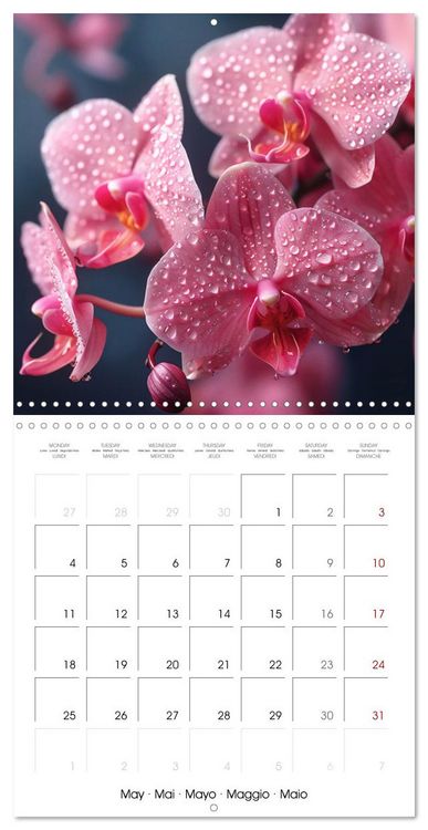 Produktbild: colorful orchid family planner (Wall Calendar 2026 12 &times; 12 Inch) CALVENDO 12 Month Wall Calendar