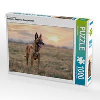 Produktbild: CALVENDO Puzzle Ein Motiv aus dem Kalender Malinois - Belgische Energieb&uuml;ndel | 1000 Teile Lege-Gr&ouml;&szlig;e 64x48cm Foto-Puzzle f&uuml;r gl&uuml;ckliche Stunden