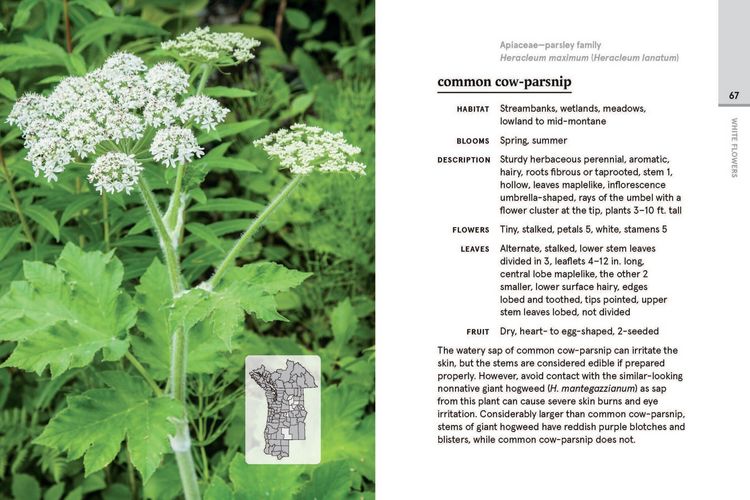Produktbild: Western Washington and Oregon in Bloom