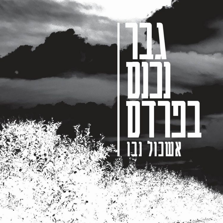 Produktbild: גבר נכנס בפרדס