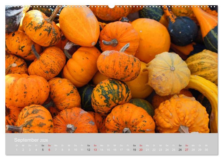 Produktbild: Indian Summer in New England (Wandkalender 2026 DIN A2 quer), CALVENDO Monatskalender