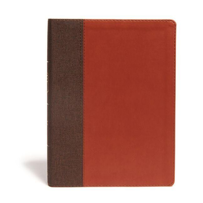 Produktbild: CSB Life Essentials Study Bible, Brown Leathertouch, Indexed